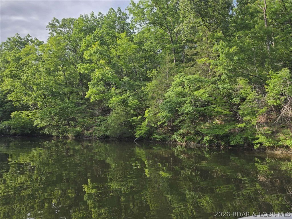 Picture 20