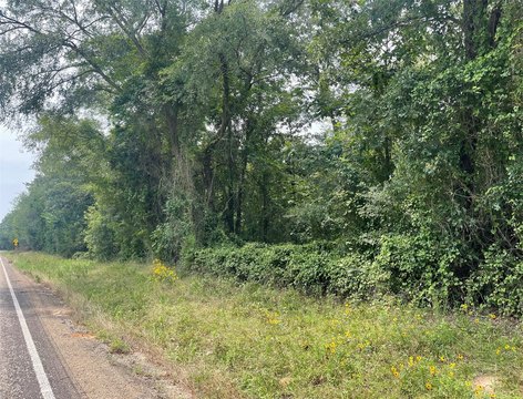 Wooded Land, Pittsburg, Texas
