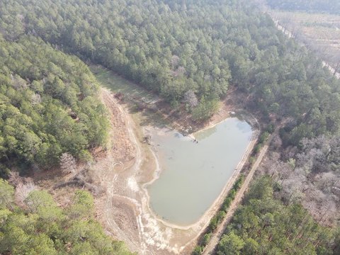 Poplarville, MS Wooded Hunting Land