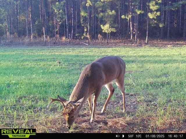 Picture 10