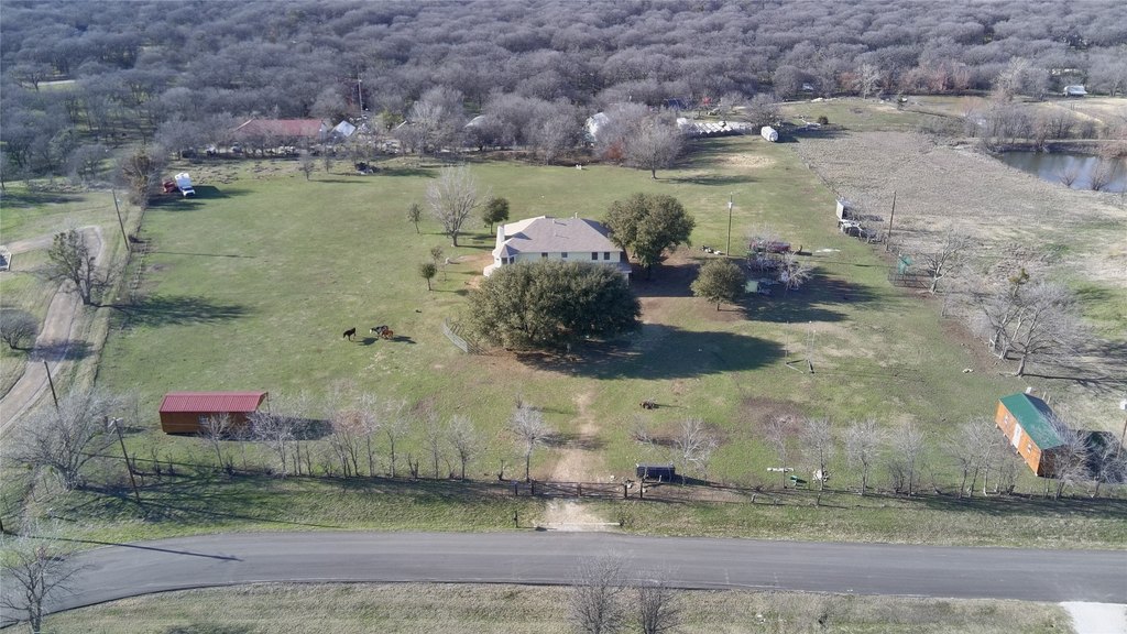 Picture 5