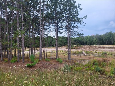 Adirondack Park Land on Route 3
