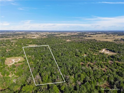 Heavily Wooded Land Parcel