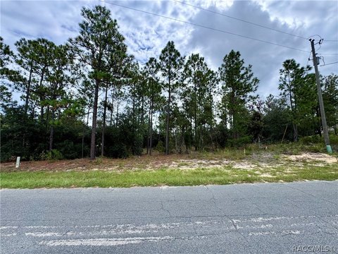 Land, Citrus Springs, FL