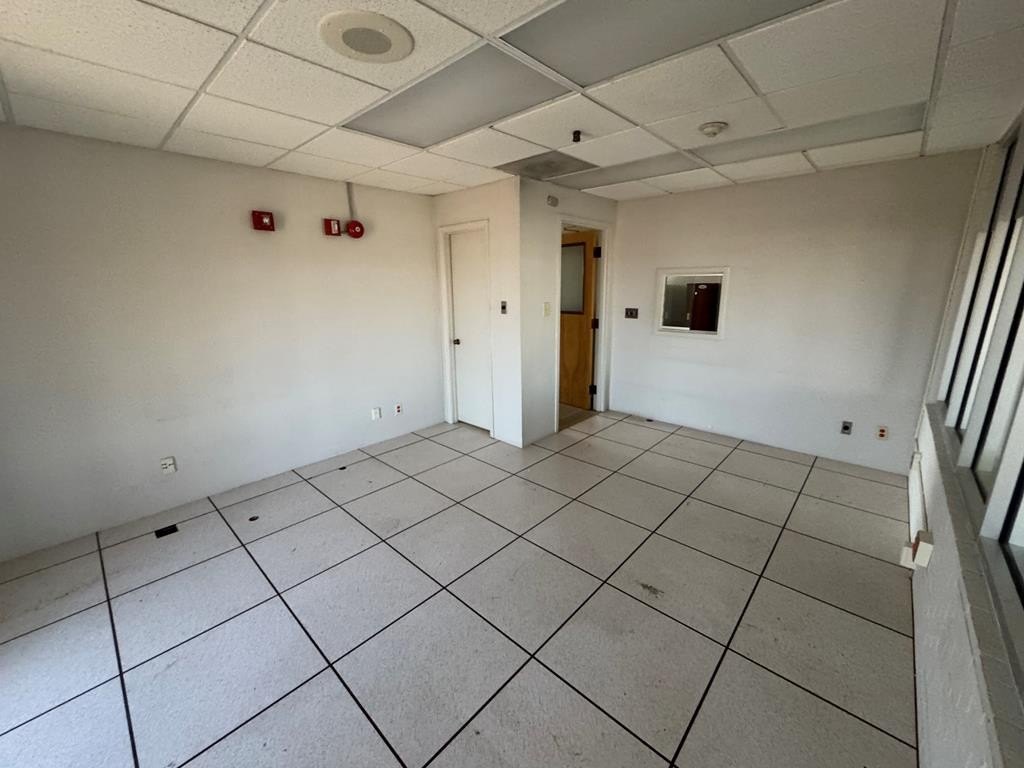 Picture 8