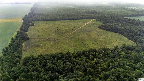 LAND - Rayville, LA