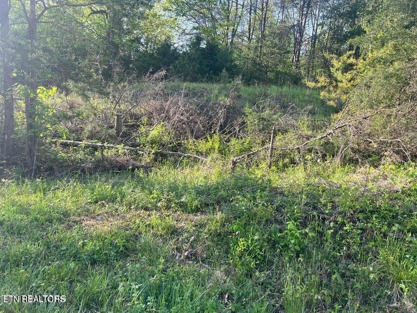 55 Acres in Sneedville, TN