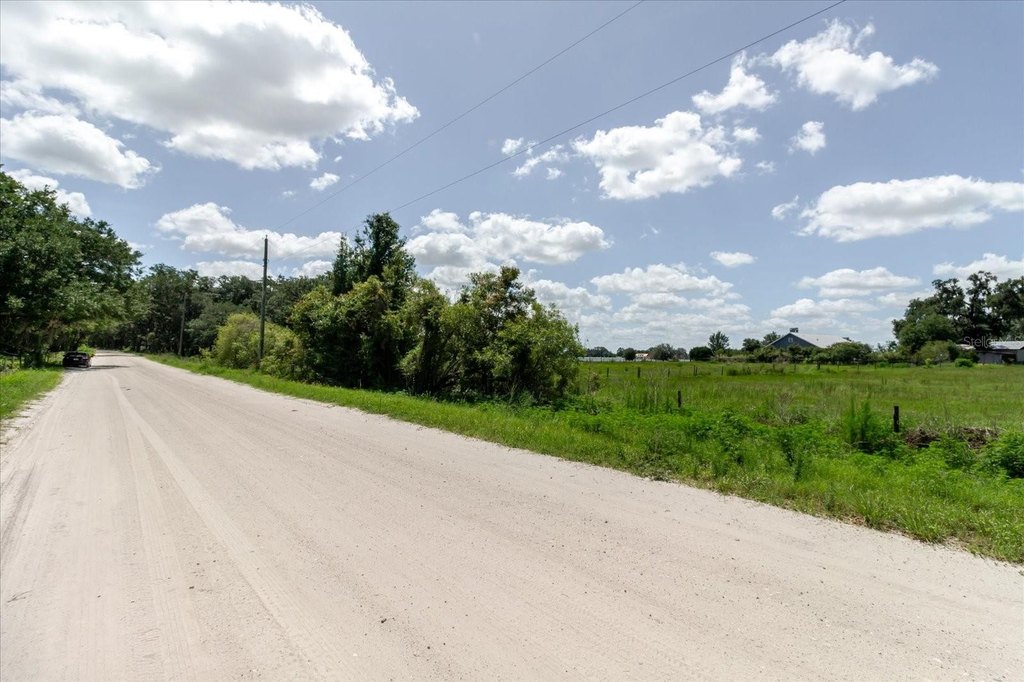 Picture 15