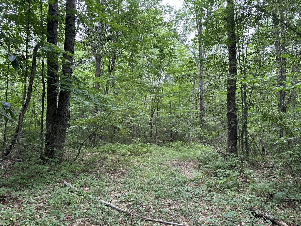 Picture 8