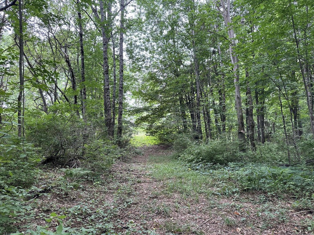 Picture 6