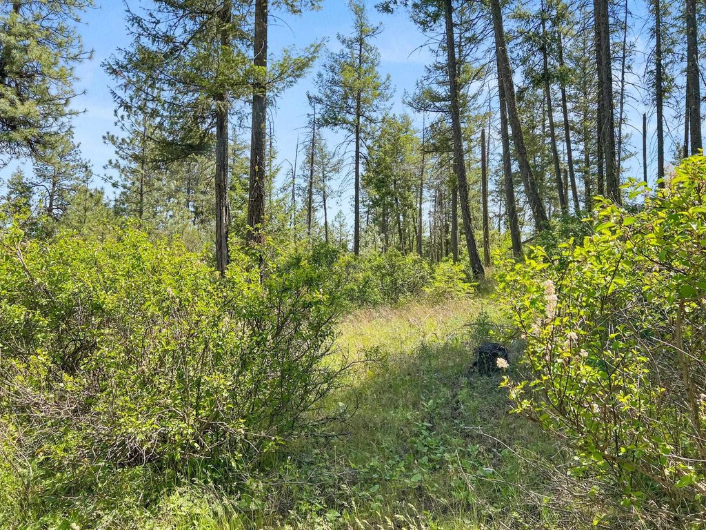 Picture 30