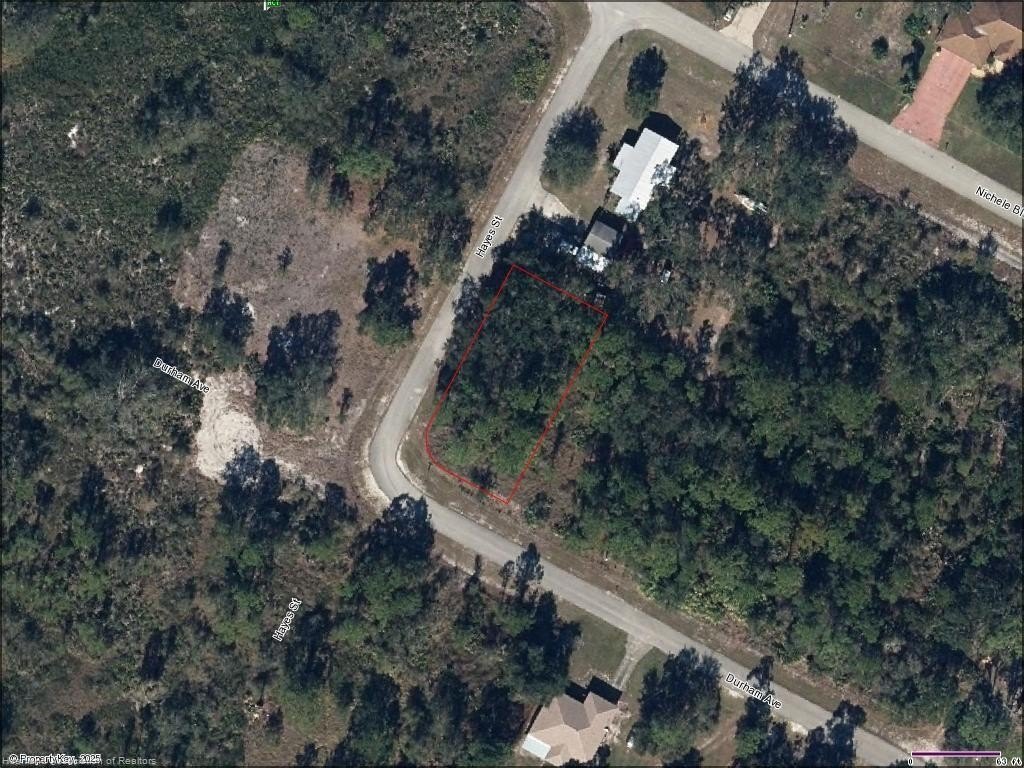 Picture 3