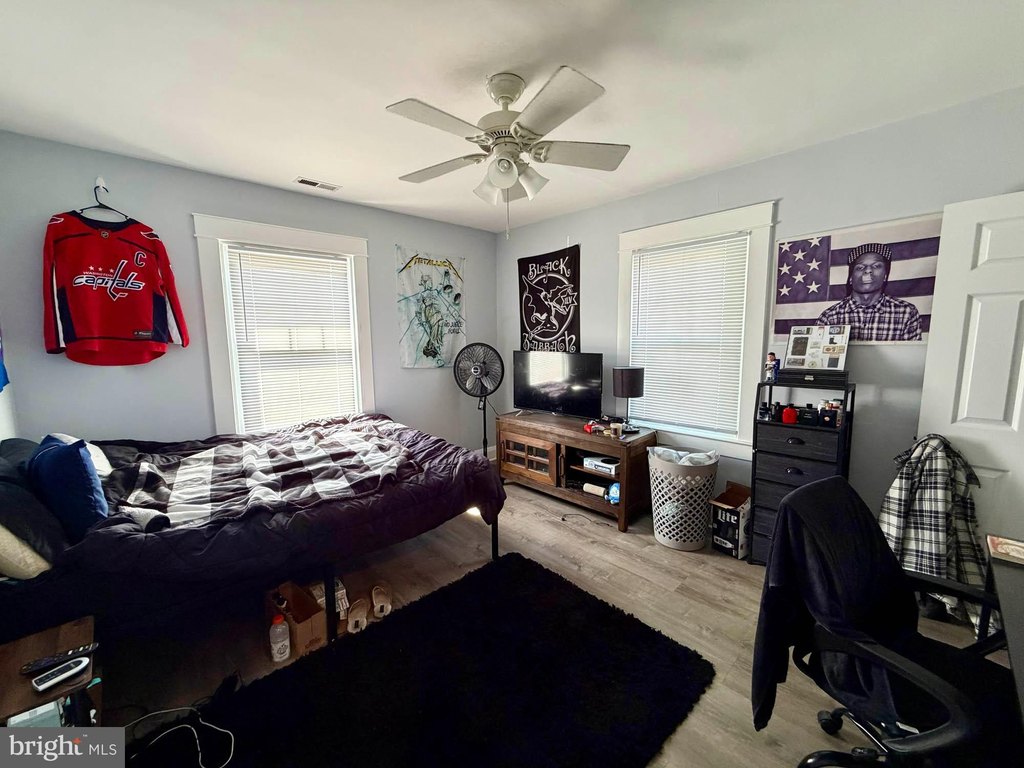 Picture 16