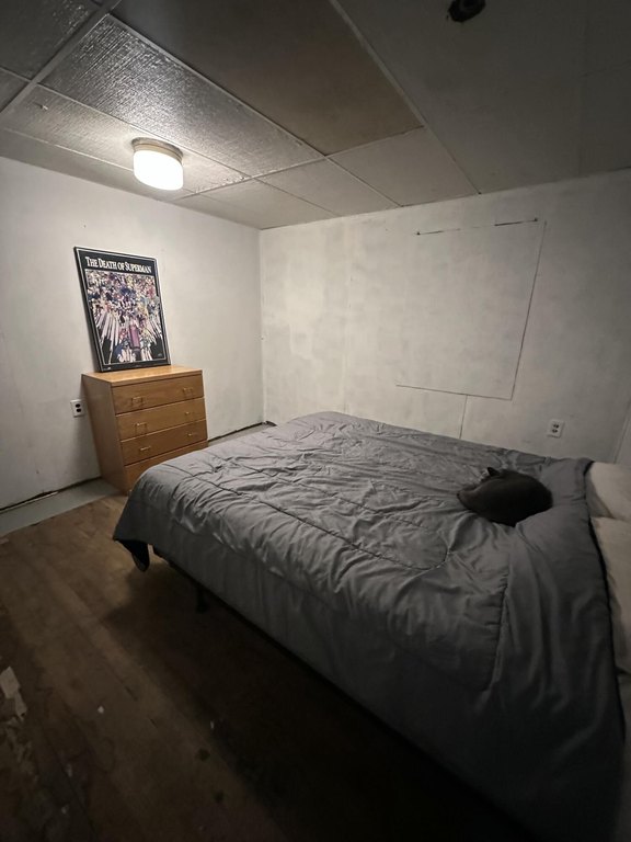 Picture 10