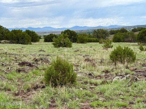 Heavily Treed Residential Land Lot