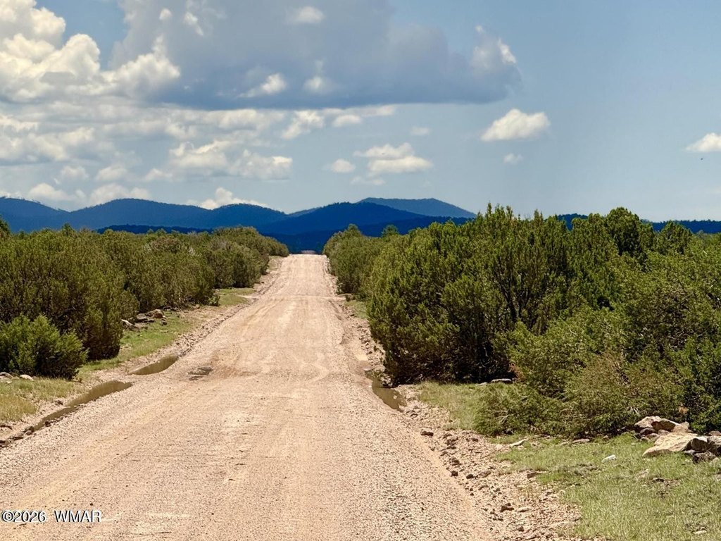 Picture 19