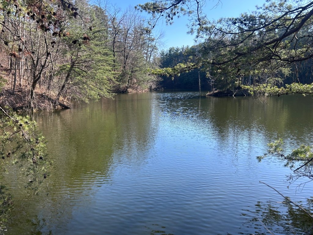 Picture 26