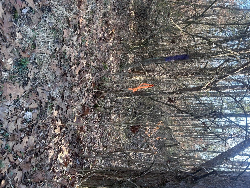 Picture 37