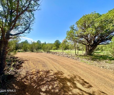 LAND - Vernon, AZ