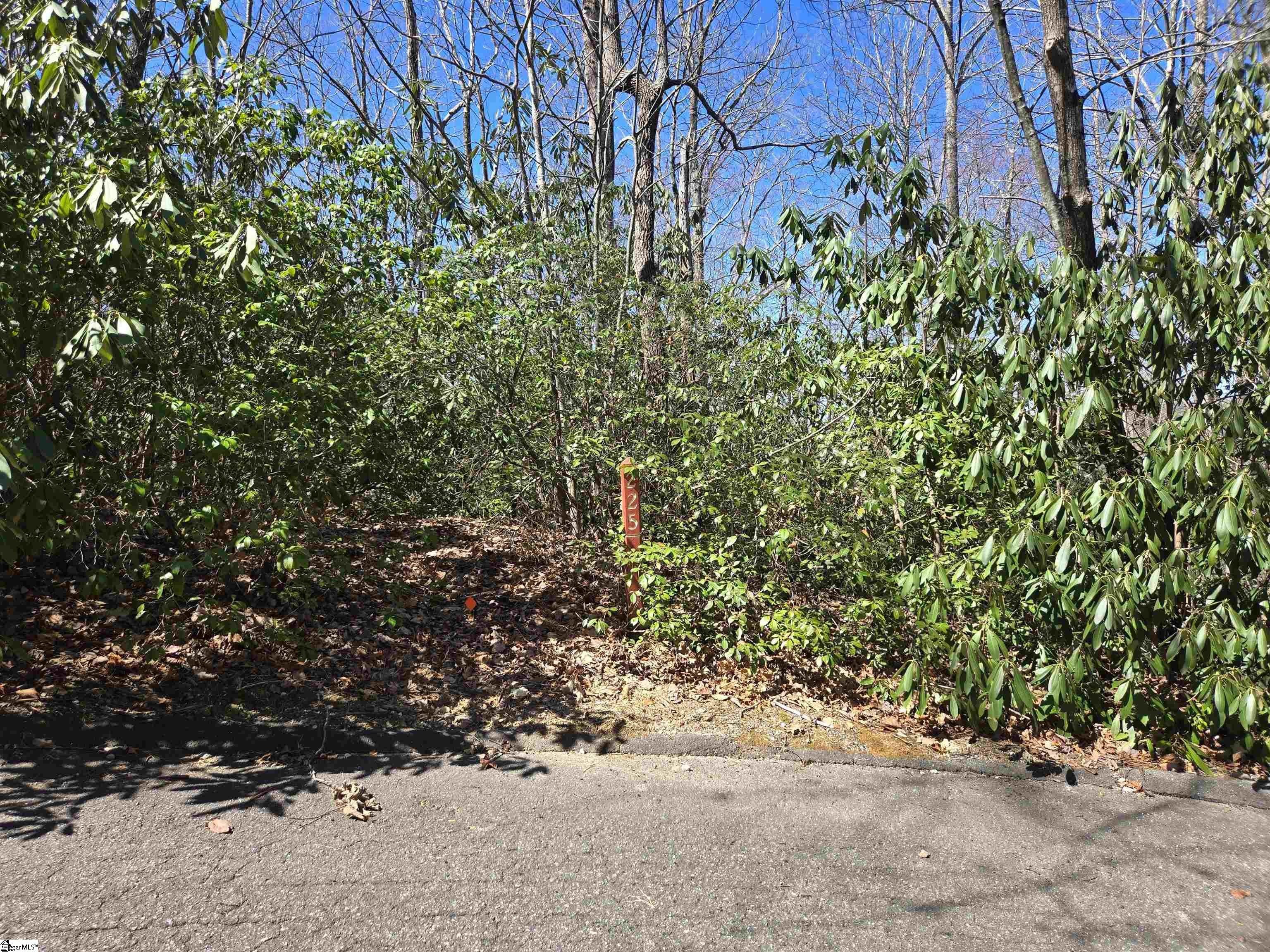 Scenic Acre Homesite with Views