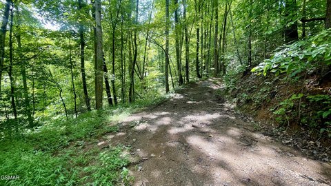 Land, Sevierville, TN