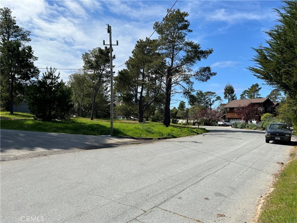 Picture 6