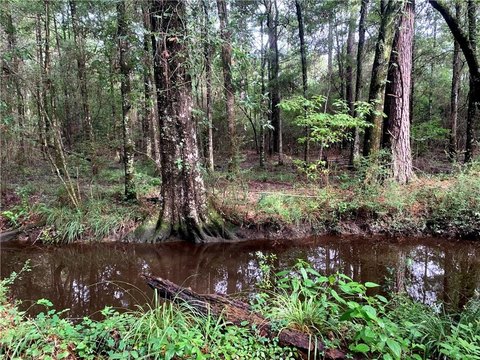Land, Mandeville, LA