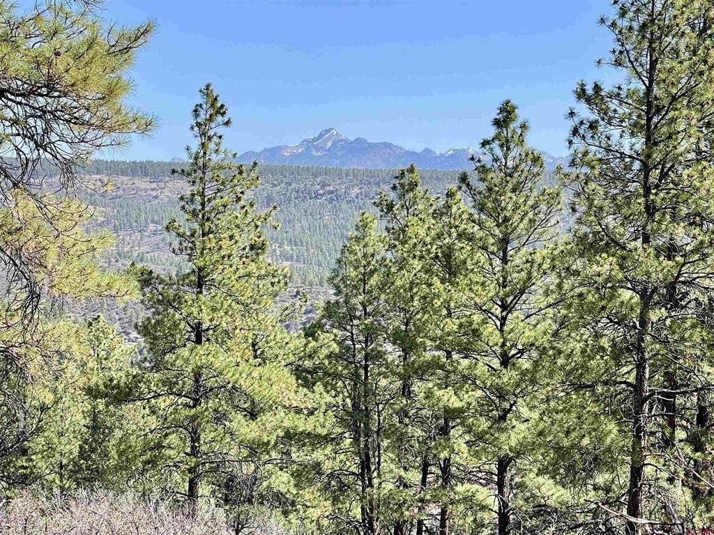 Land in Pagosa Springs, CO