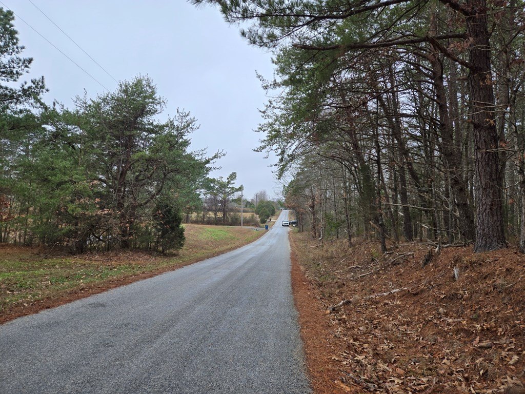 Picture 6
