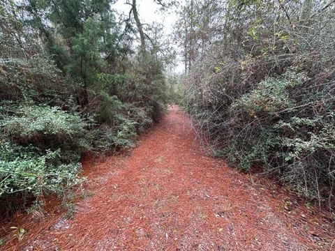 Crestview Land for Residential Development