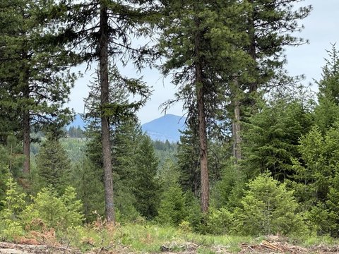 Land, REPUBLIC, WA