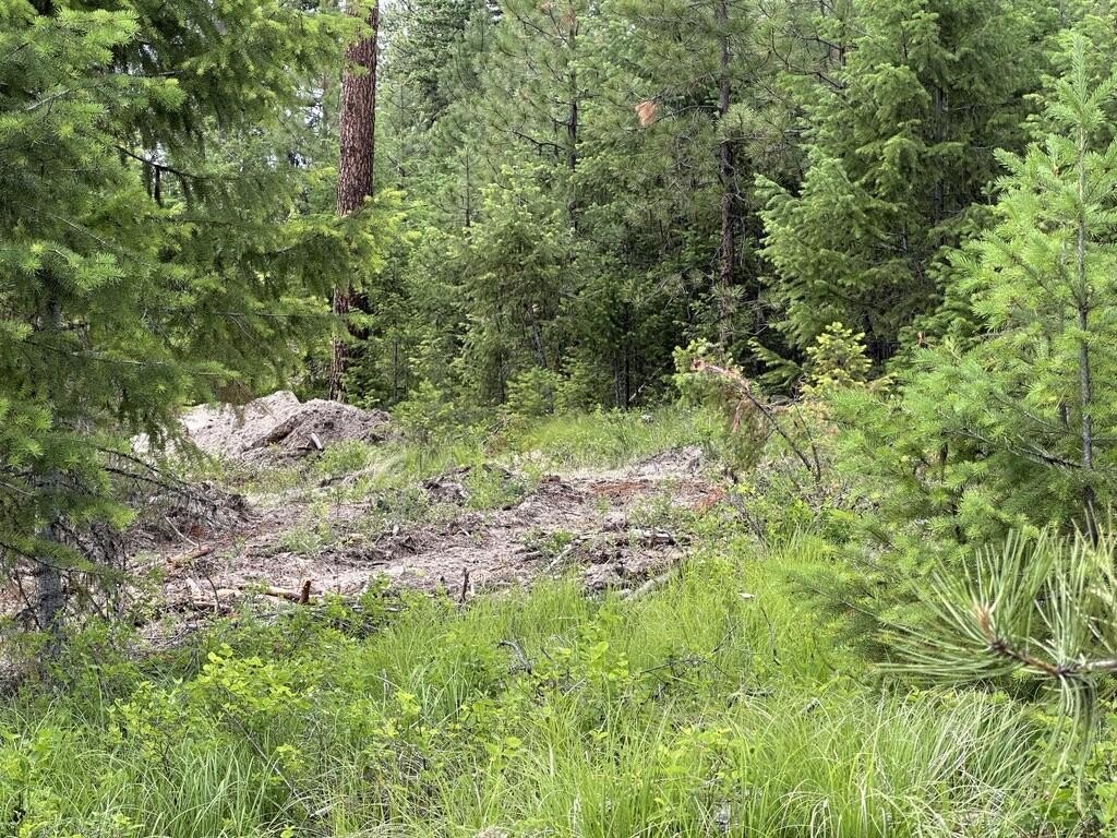 Picture 4