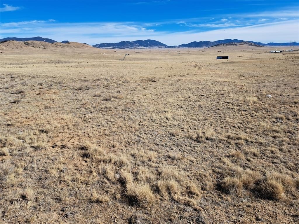 Picture 16