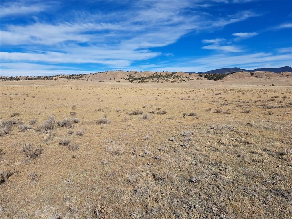 Picture 13