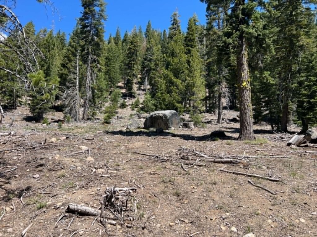 Picture 19