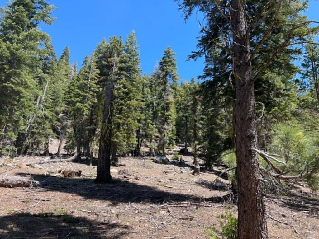 Picture 23
