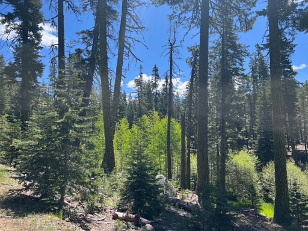 Picture 26