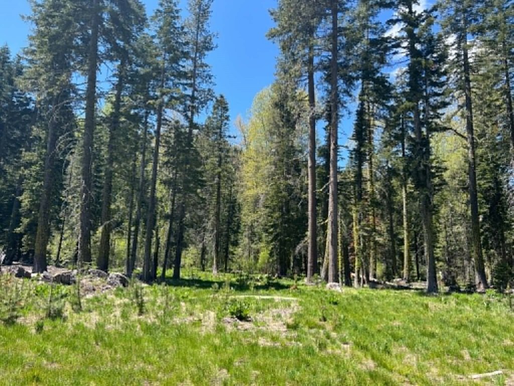 Picture 28