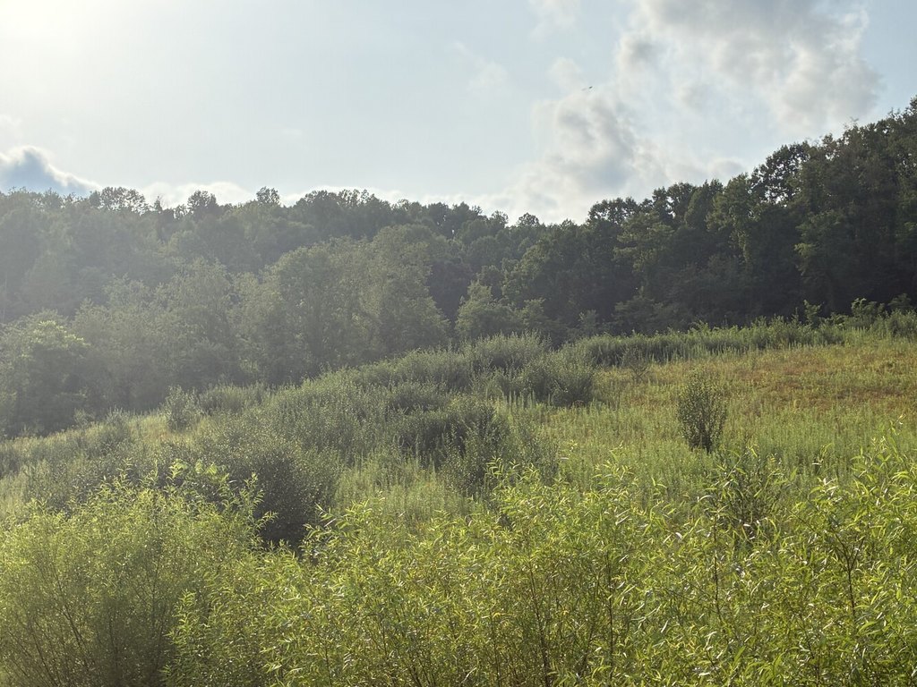 Picture 29