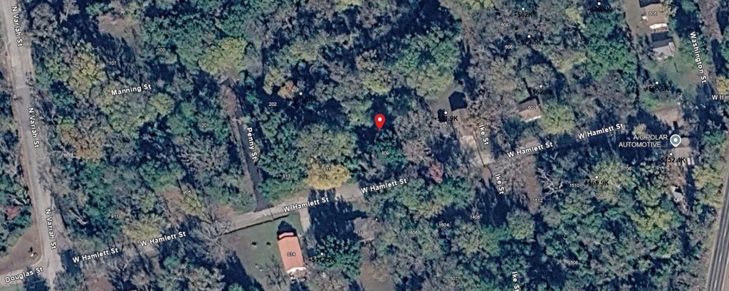 Picture 5