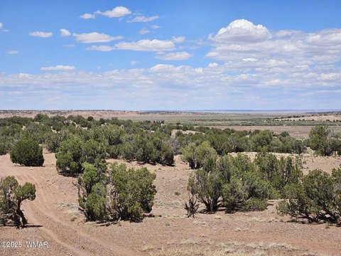 Land in Concho, Arizona