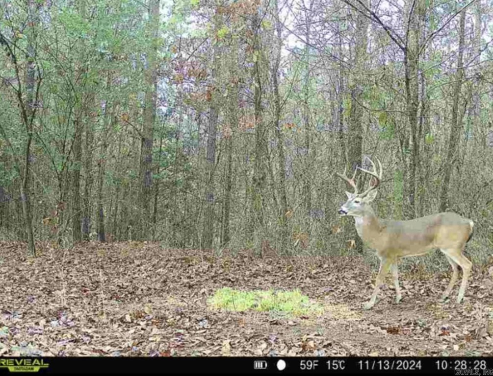 Picture 16