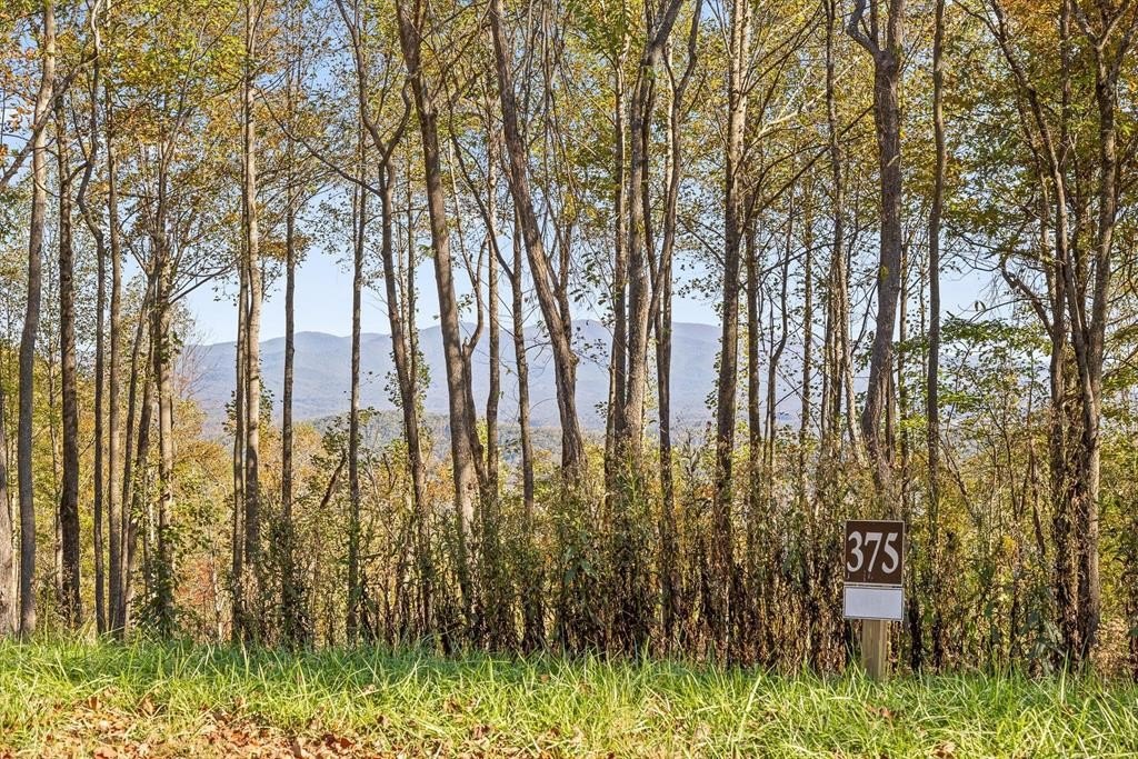 Talking Rock Vacant Mountain View Lot