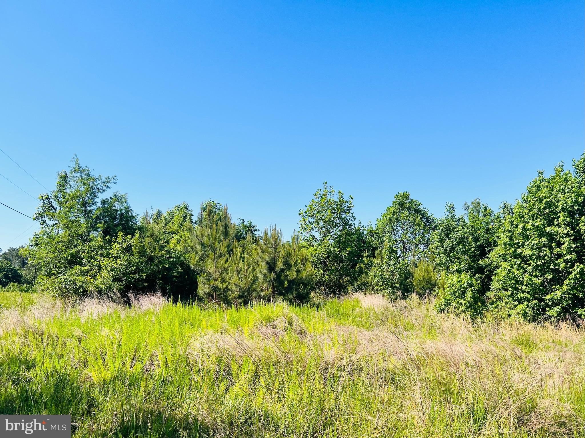 Warsaw, VA: A1 Zoned Land