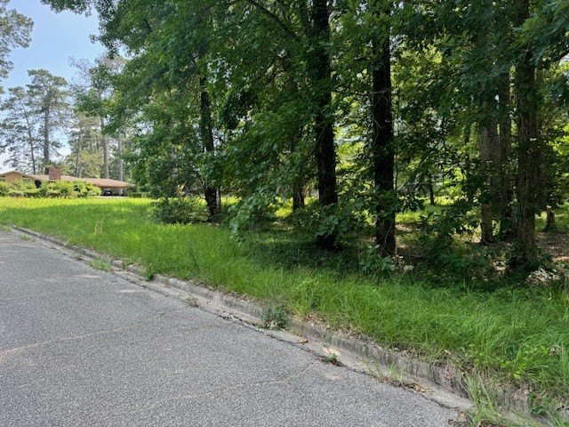 Picture 2