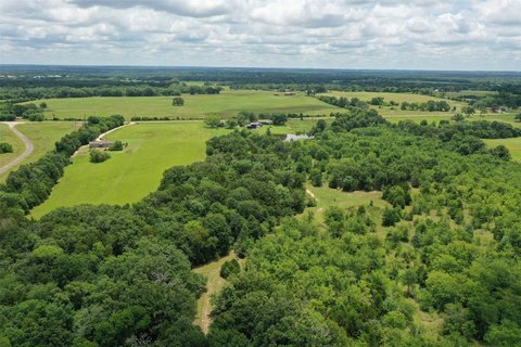 Tree-Lined Pasture Acreage
