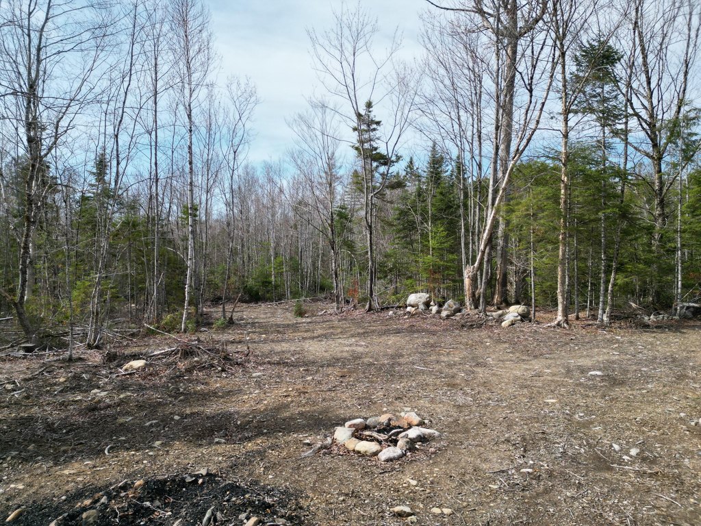 Picture 11