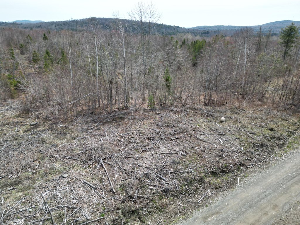 Picture 18