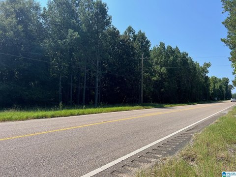 Land with Highway Frontage