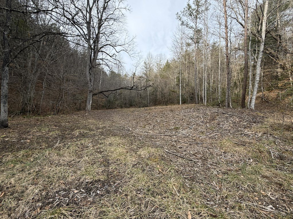 Picture 7